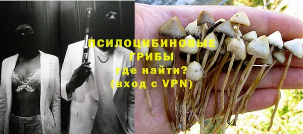 МДМА Алексеевка