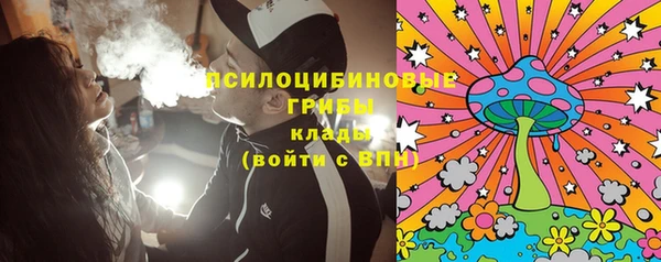 дурь Алексин