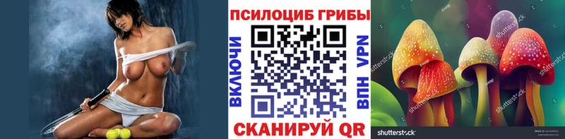 Псилоцибиновые грибы Psilocybe Спасск-Рязанский